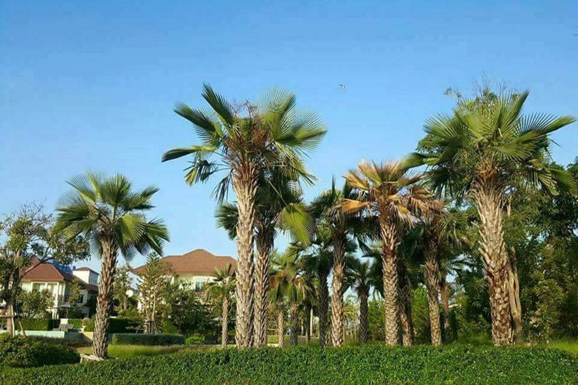 Villa Panorama Sea View At Boulervard Cha-am Exterior foto